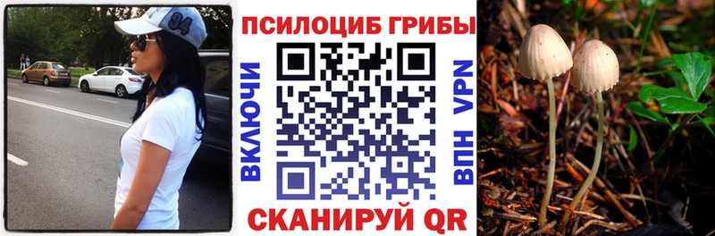 Галлюциногенные грибы GOLDEN TEACHER  нарко площадка Telegram  Топки 
